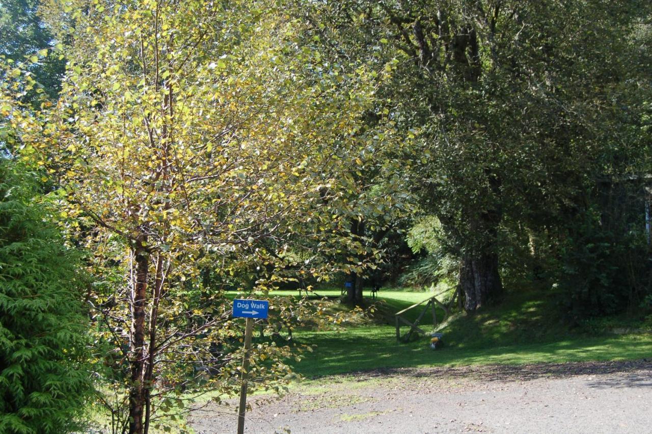 Cosy & Compact Rowan No4 * Killin