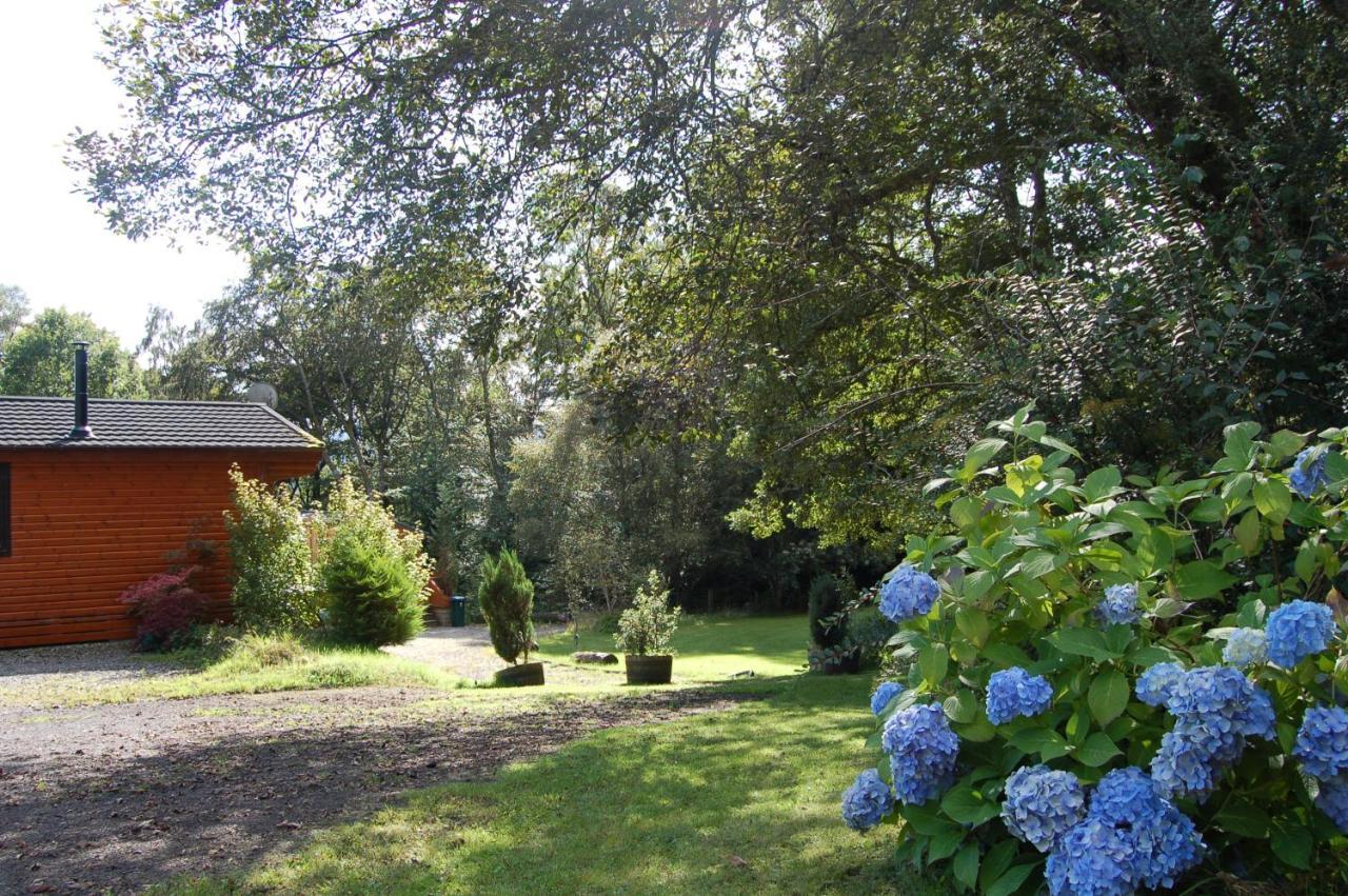 Lodge Cosy & Compact Rowan No4 *