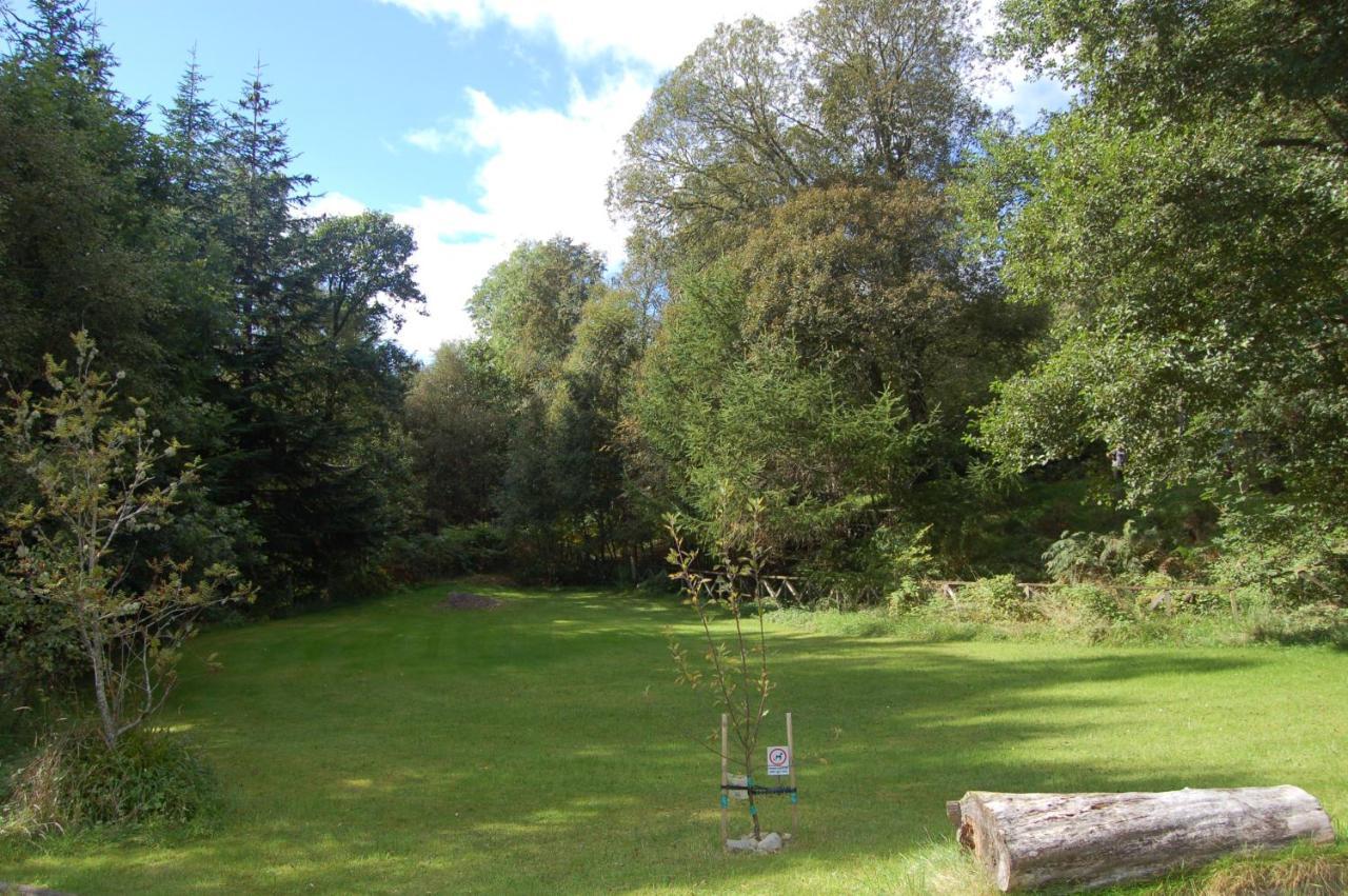 Cosy & Compact Rowan No4 Lodge
